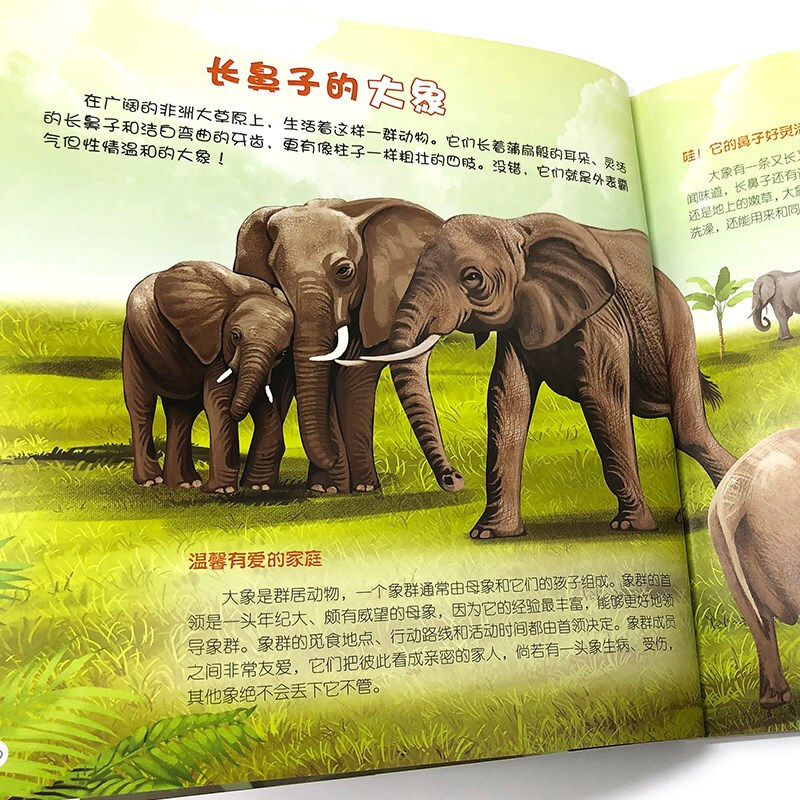 3-6 years old Children’s Eyes on the World Science Museum Grassland Animals