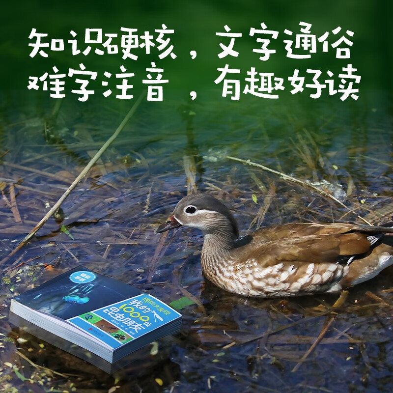 Infinitesimal Liang Zhang Chenliang Tang Zhiyuan Insect Friends Natural History Discovery My 1000 Insect Friends (all 5 volumes) Let’s go to Insect Encyclopedia Popular science reading for 5-12 years old Zhang Chenliang’s book Infinitesimal Liang’s teacher’s natural history class