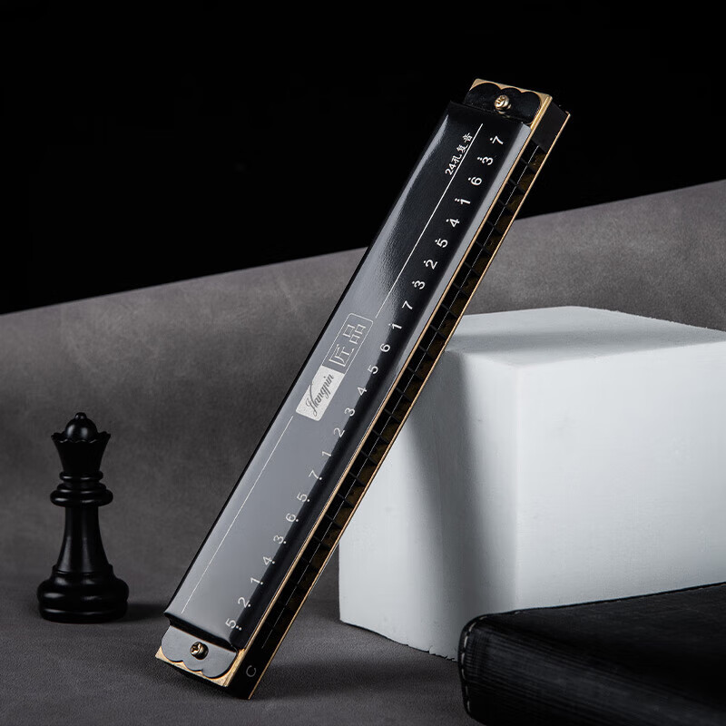 EAST TOP 24-hole polyphonic harmonica in C key (phoneme marking) JP24-1 black suitable for beginners teaching
