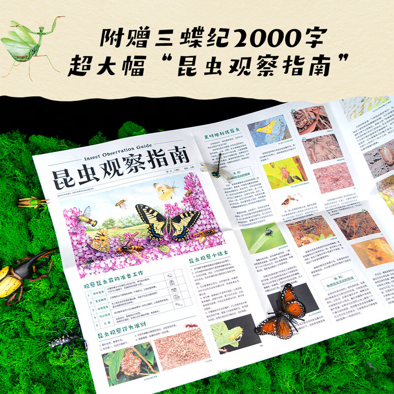 Diary of Insects pop-up book, natural science enlightenment, parent-child reading (10 large spread pages, 38 three-dimensional interactions, 50 insects, hundreds of knowledge points, shocking presentation of Fabre's 