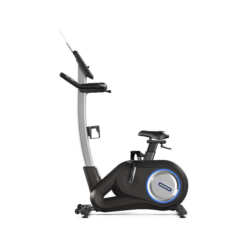JOHNSON Vertical Exercise Bike Home Indoor Small Fitness Equipment Bicycle Fat Burning Cycling Exercise PAROS 3 Entry-level Cycling Fat Burning Choice paros3.0_Horizon