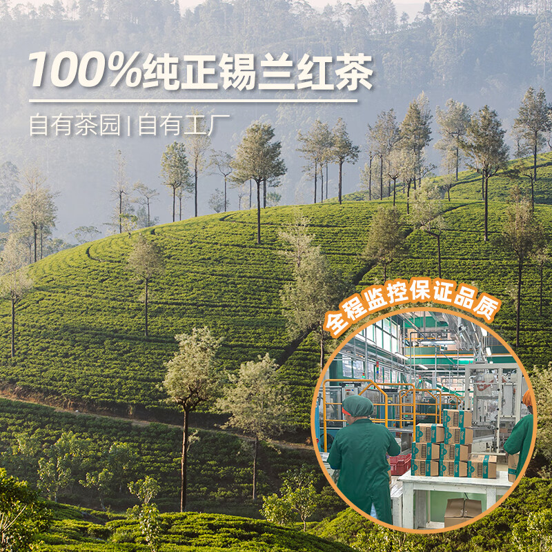 Dilmah original Ceylon black tea 25 bags*2g tea bag bare tea bag imported from Sri Lanka, the same style as Fat Dong Lai