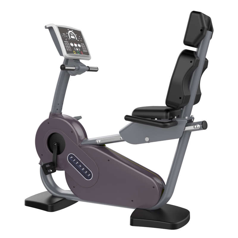 Boardron exercise bike commercial silent magnetic control indoor spinning sports fitness equipment gray