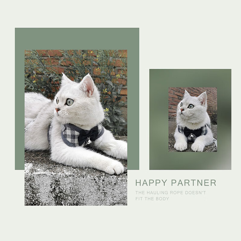加仕高宠物猫绳胸背带遛猫绳防挣脱猫链子猫咪牵引绳可调节带铃铛S号