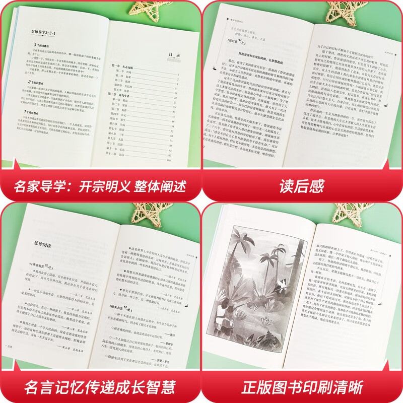 All 4 volumes: Robinson Crusoe, Alice's Adventures in Wonderland, Niels' Travels on a Goose, The Adventures of Tom Sawyer, Happy Reading, Recommended Reading Volume 2 for Grade 6, Complimentary Test Points Booklet, All Things Revealed for Grade 6