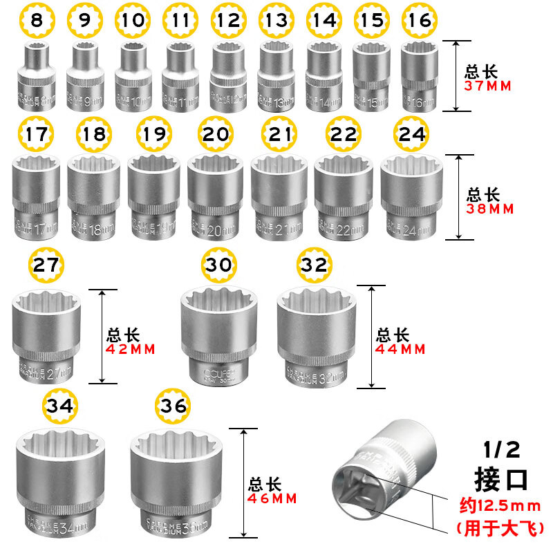 Coolanteng 12-point plum blossom socket set 12-point plum blossom socket 1/2 inch large flying small wind cannon socket head 8-36mm 21 pieces twelve-point plum blossom 8-36mm