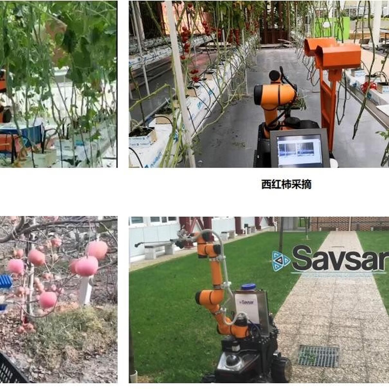 AUBO six-axis collaborative robot robotic arm manipulator handling palletizing loading and unloading automated AUBO robotic arm AUBO-I10