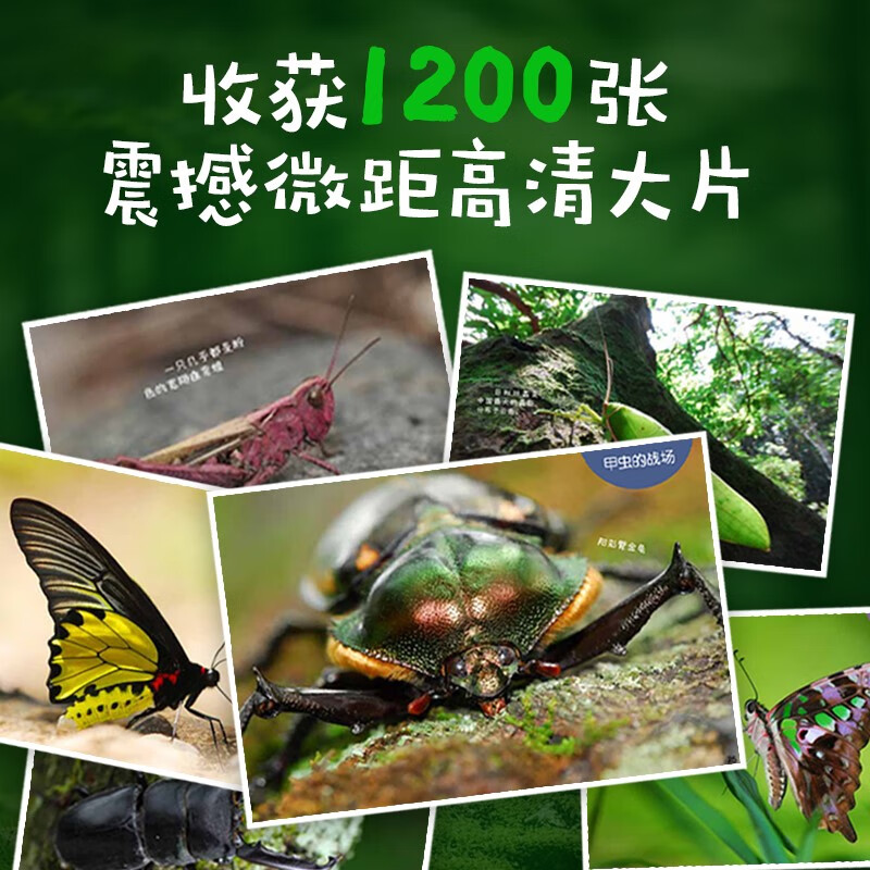 Infinitesimal Liang Zhang Chenliang Tang Zhiyuan Insect Friends Natural History Discovery My 1000 Insect Friends (all 5 volumes) Let’s go to Insect Encyclopedia Popular science reading for 5-12 years old Zhang Chenliang’s book Infinitesimal Liang’s teacher’s natural history class