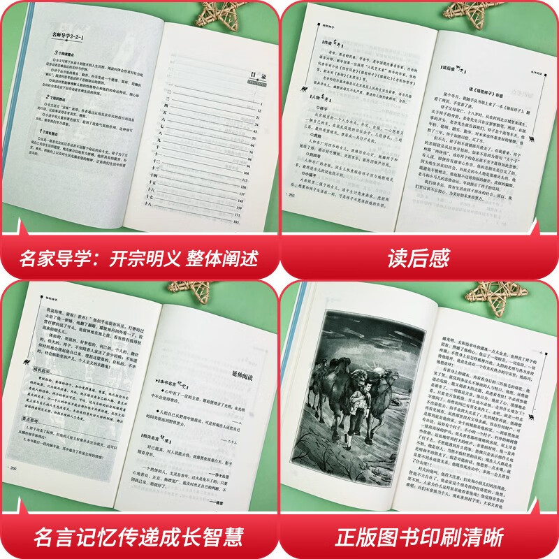 Luotuo Xiangzi, complete book without deletions, recommended reading for seventh grade students, extracurricular reading books for primary and secondary schools, barrier-free reading, review of everything with exercises for seventh grade students
