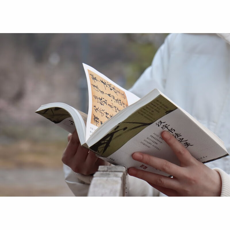 The beauty of Chinese calligraphy Jiang Xun’s minimalist calligraphy history classic newly revised Chinese calligraphy aesthetics