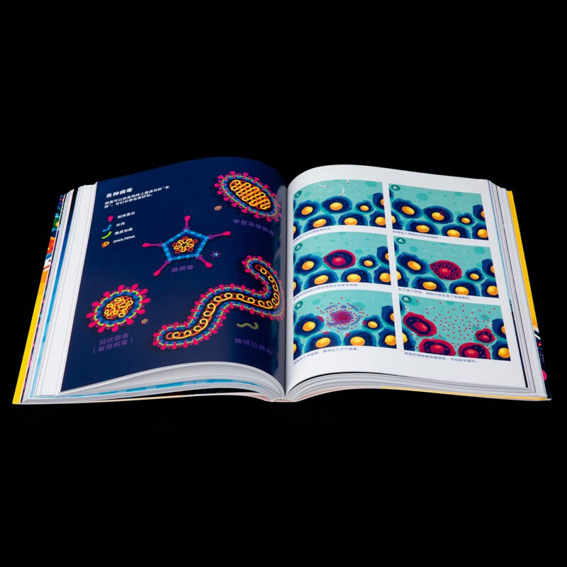 Utopia (imaginist) Fighting Cells The Wonderful Journey of the Human Immune System Philip Detma Popular Science and Health Virus Planet Everyone’s War Why We Get Sick Medical Humanities Biology World Books Popular Science Readings Imaginist Books Official Flagship Store Genuine Direct Sales