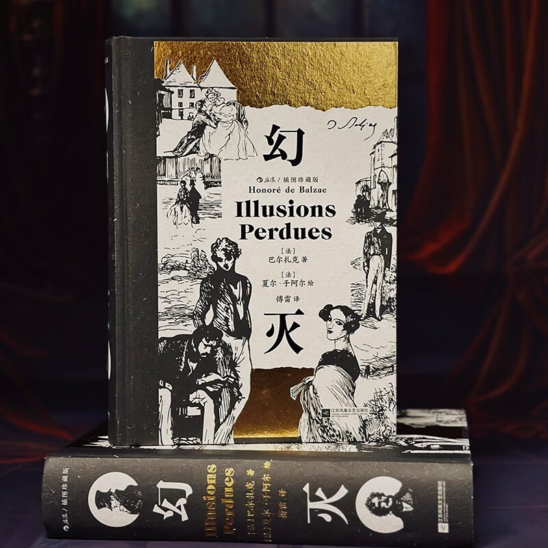 Disillusionment (Illustrated Collector's Edition) Novel