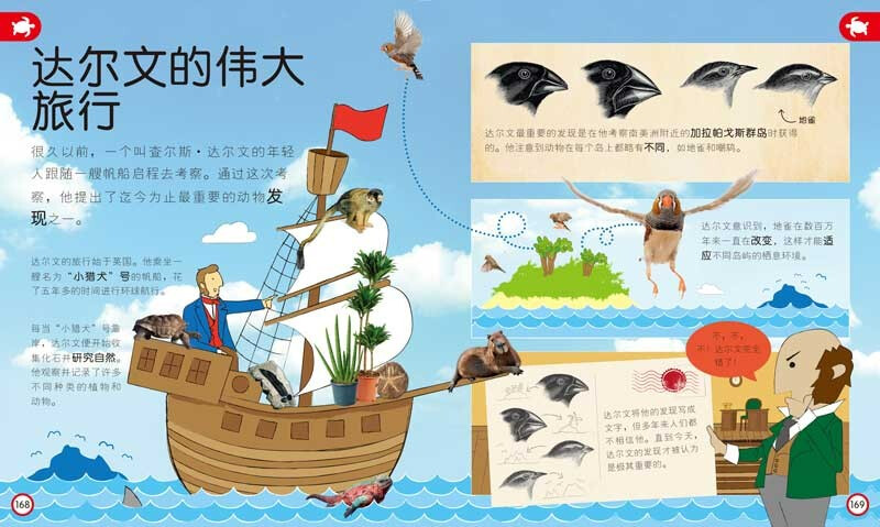 DK Children's Encyclopedia Those Important Animals Enlightenment Cognition for 3-6 Year Old Babies Children's Animal Picture Book Preparation for Young Children's Connection Knowledge Picture Book