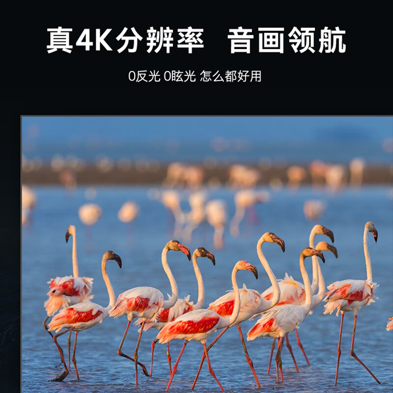 Skyworth 120-inch laser video conferencing flat-panel commercial large-screen 4K ultra-high-definition cinema homologous technology large-screen eye protection home all-in-one machine KY120B01A Fresnel hard screen