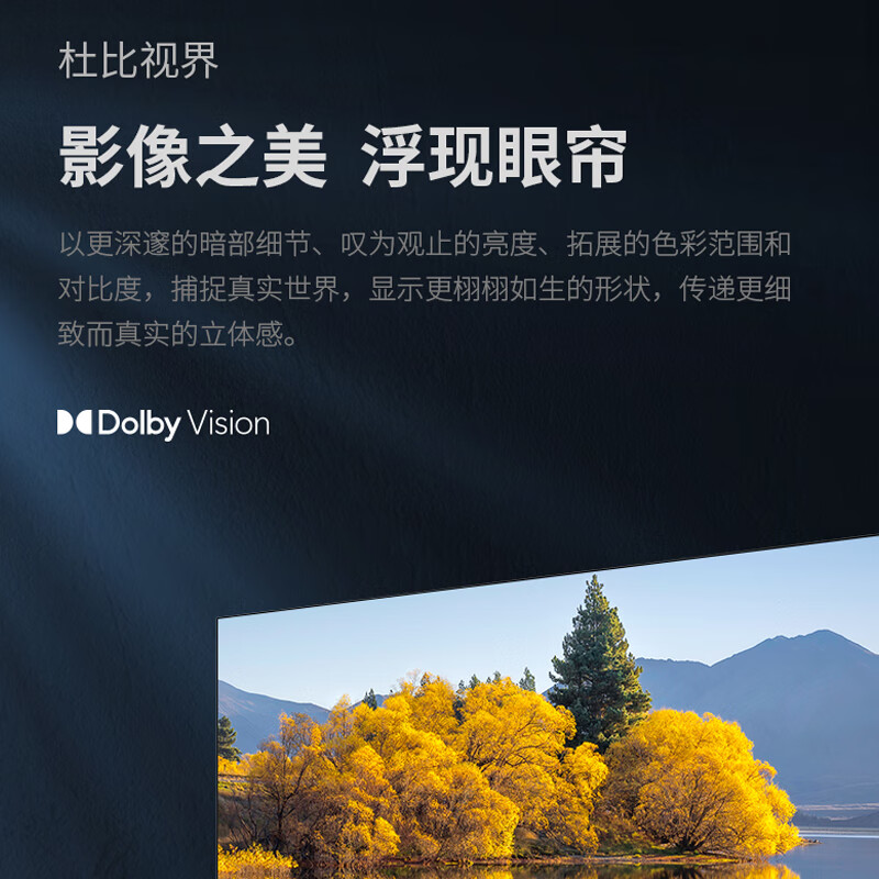 SHARP TV 55-inch Bedroom TV 120Hz High Brush