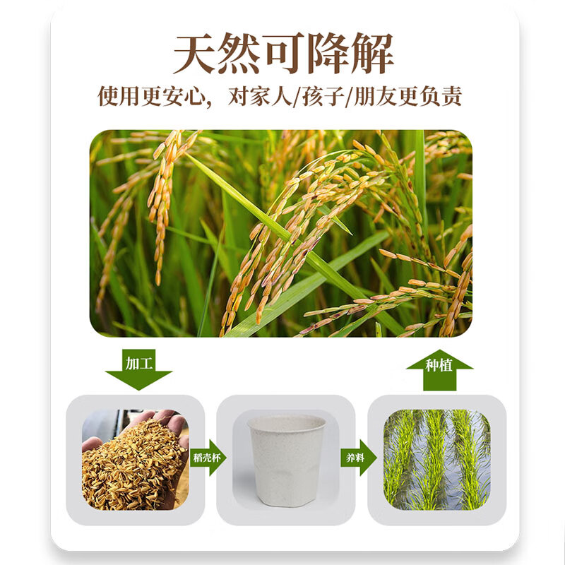 Daoying Disposable Cup Home Office Reception Tea Drinking Cup Kung Fu Tea Cup Food Grade Thickened Rice Hull Water Cup Rice Hull Tea Cup 80ml Two Packs (100 in total)