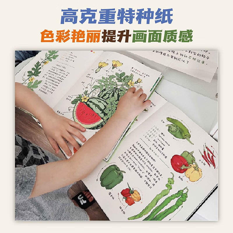 Xiao Che Mama's Fruit and Vegetable Observation Notes for Children (Fruits + Vegetables 2-volume set) is original and high-quality. The book comes with 62 coloring line drawings + 2 large and exquisite posters!