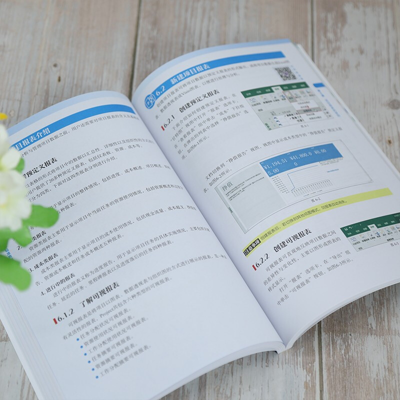 Project project management software standard tutorial (full color micro-course version) (Tsinghua Computer School)