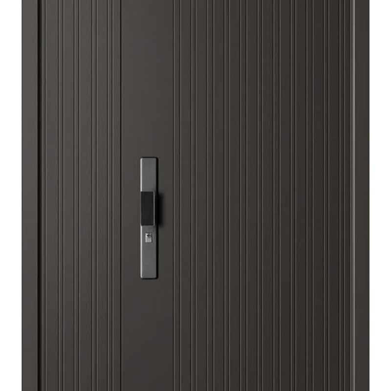 Dikasi DKX-Qingyun straight up double door anti-theft door security door entry door smart door light luxury door