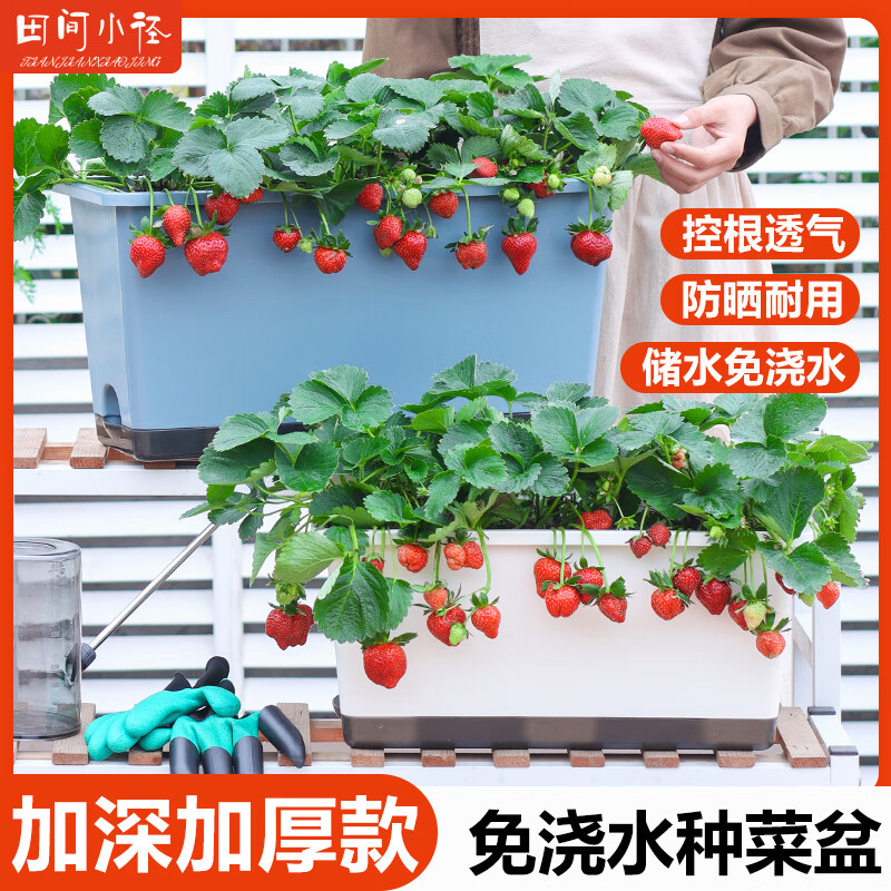 Field trails new balcony vegetable pots self-absorbing water vegetable pots thickened and deepened long pots household vegetable planting boxes plastic flower pots 3 pieces - large - deepened white vegetable pots