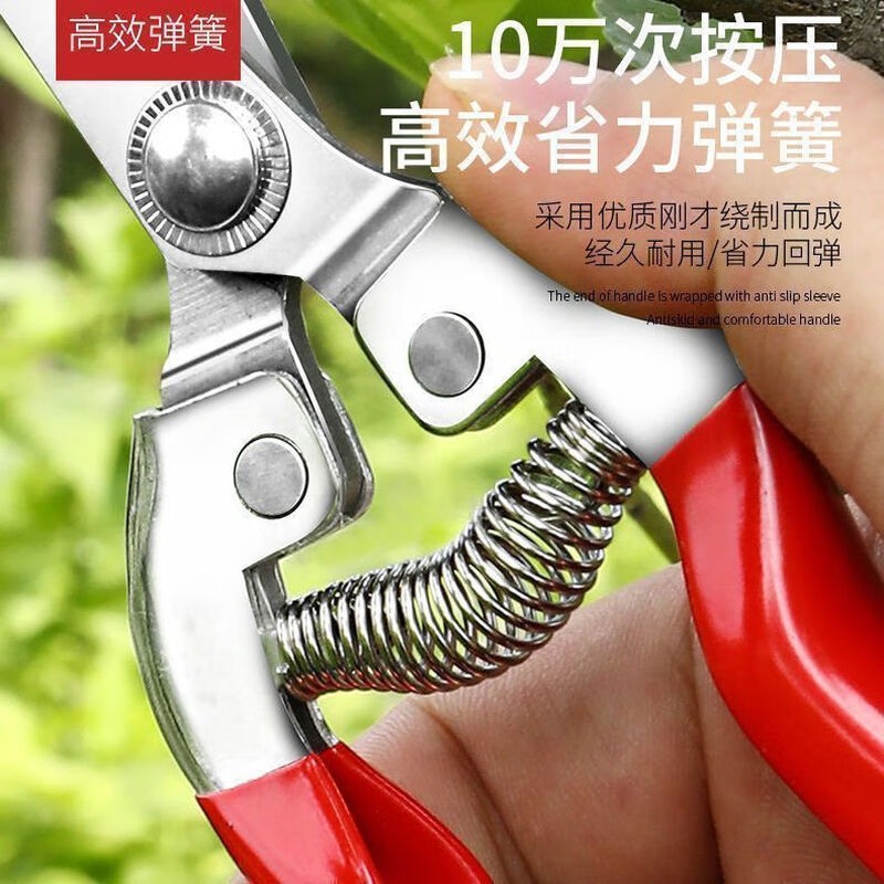 Yanran stainless steel fruit picking scissors, gardening scissors, pruning shears, imported grape pitaya scissors, special scissors for picking pepper, 3 stainless steel fruit picking scissors