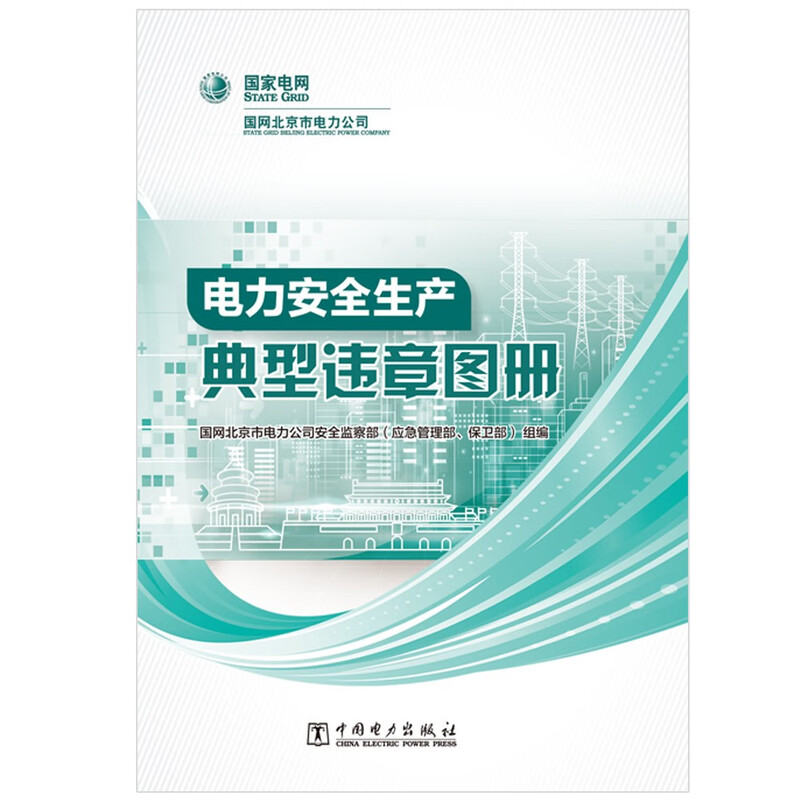 Photo album of typical violations in electric power safety production