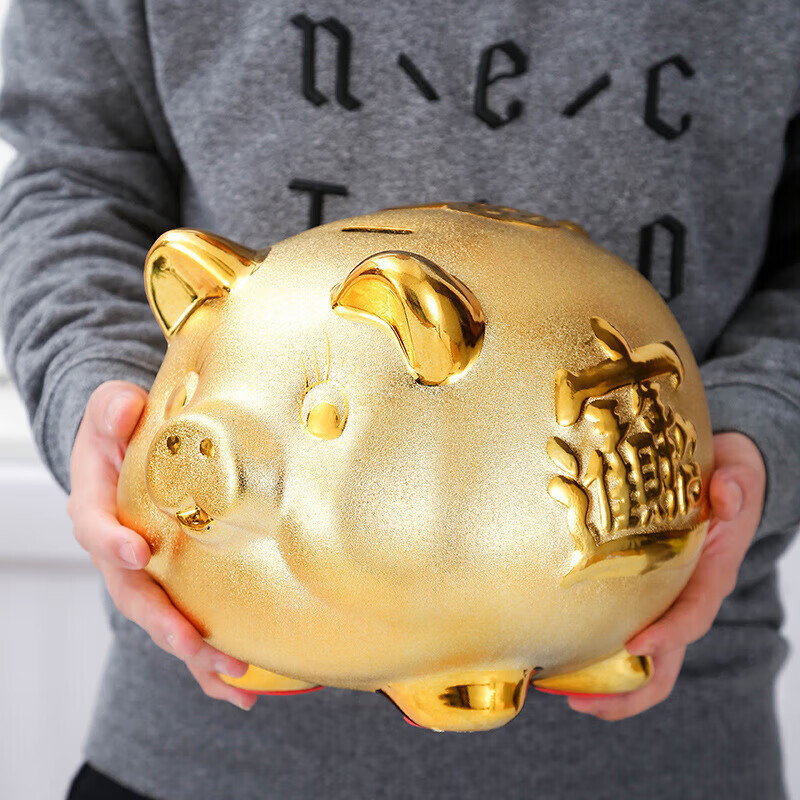 Willkie piggy bank can only go in and out, 2026 new piggy bank, golden pig, ceramic piggy bank for adults, children and boys, small golden pig, small size, can be entered and withdrawn.