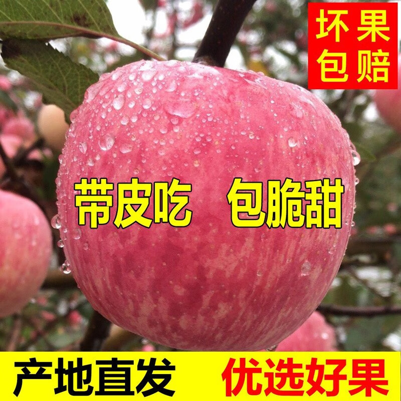 Erdie Shaanxi Red Fuji Apple Fresh Fruit 10 Jin Rock Candy Heart Seasonal Ugly Apple Seasonal Fruit Crisp Sweet Whole Box Selected 9 Jin Pack Net Weight 8.5 Jin 70-75mm