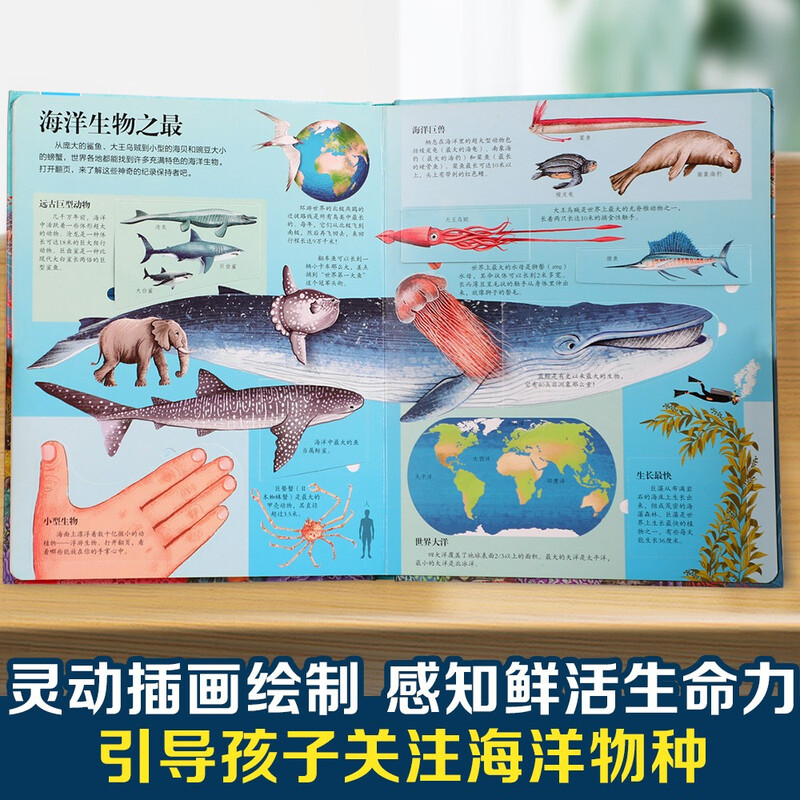 18 yuan off for orders over 87. Reveal the Ocean (Children’s Popular Science Flip Book for 3-6 Years Old) Reveal Series of Children’s Enlightenment Popular Science Pop-up Books, Le Fun Children’s Books, Children’s Science Popular Science Children’s Book Festival Children’s Money Saving Card