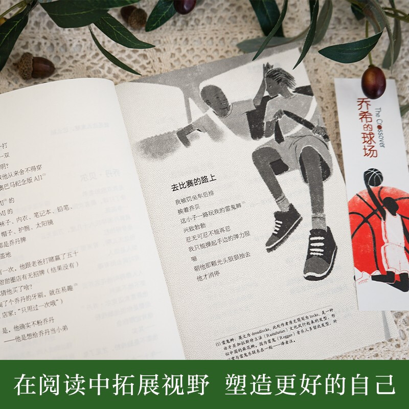 10 selected volumes of the Ivy League International Award novels: A Cat’s Mission, Children Chasing Dreams, You Are So Brave, etc. A must-read for elementary and middle school students in grades 3, 4, 5, and 6. Extracurricular reading of International Children’s Literature Award classics that influence children’s lives. Children’s New Year’s Day gifts