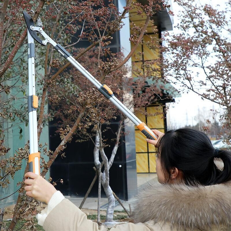 Arrizo Thick Branch Scissors Gardening Fruit Tree Pruning Branch Shears Pruning Shears Garden Powerful Shears Telescopic Manual Farm Tools Black Gold Standard Thick Branch Scissors