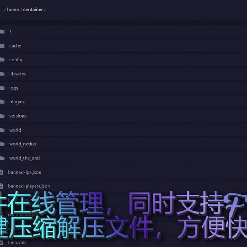 Minecraft Server Panel Server MC Server Rental Ordinary Package Three 10G