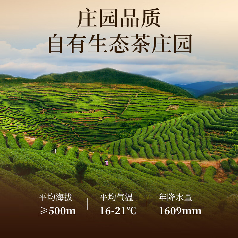 Huaxiangyuan VIP Tea Special Black Tea Ningde Gongfu Black Tea 200g Tea Gift Box Spring Festival New Year Gift