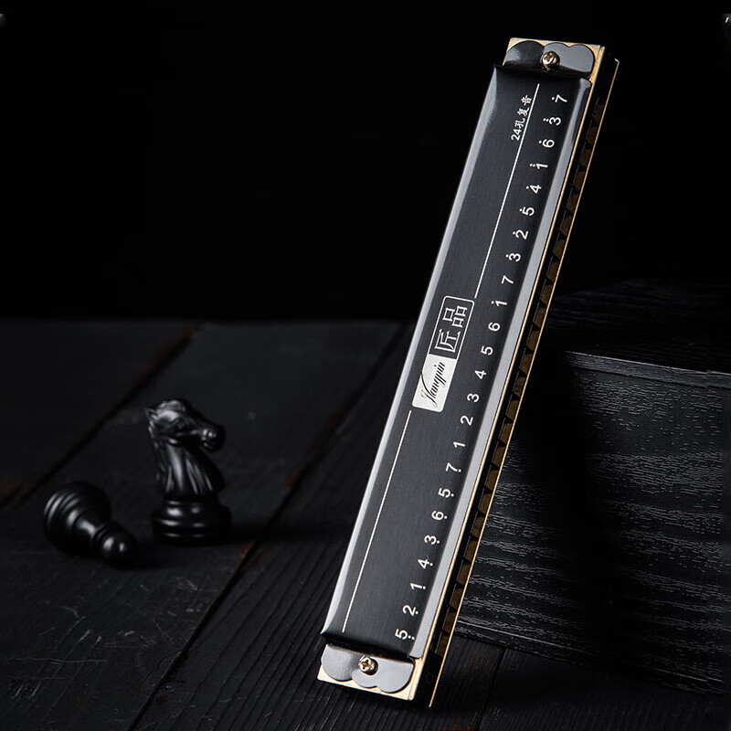 EAST TOP 24-hole polyphonic harmonica in C key (phoneme marking) JP24-1 black suitable for beginners teaching