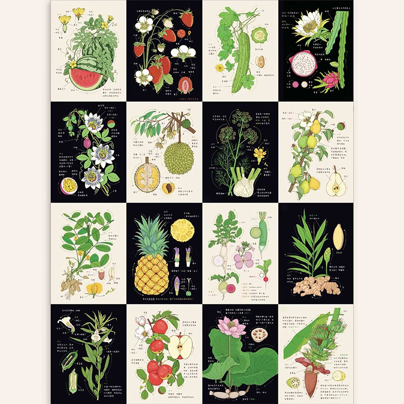Xiao Che Mama's Fruit and Vegetable Observation Notes for Children (Fruits + Vegetables 2-volume set) is original and high-quality. The book comes with 62 coloring line drawings + 2 large and exquisite posters!