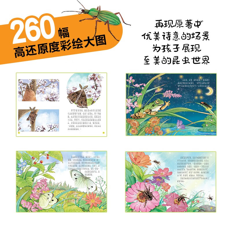 Fabre's Notes on Insects for Children (set of 10 volumes in total, painted phonetic version) children's popular science book picture book