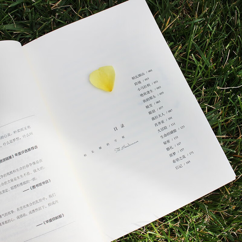 Parvana's Waiting, the original novel of the movie The Breadwinner, nominated for the Academy Award animated feature film, children's literature on the Afghan war, extracurricular reading for primary school students