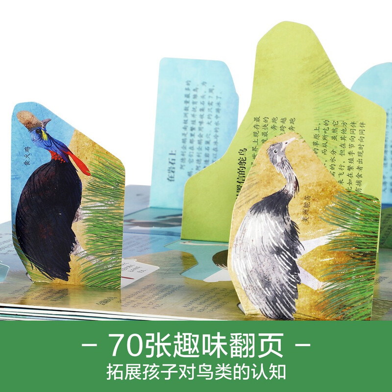 18 yuan off for orders over 87. Reveal the Birds (popular science flip book for children aged 5-10) Le Fun Children's Book Revealing Series Children's Enlightenment Popular Science Pop-up Books Children's Book Festival Children's Day