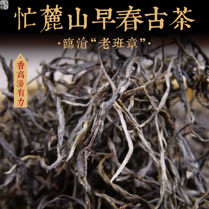 Mingguan Zhongpin 23-year-old spring tea, Xiguimanglushan early spring ancient tree loose tea, Yunnan ancient tree tea, Pu'er tea loose tea, Xianggao 100g