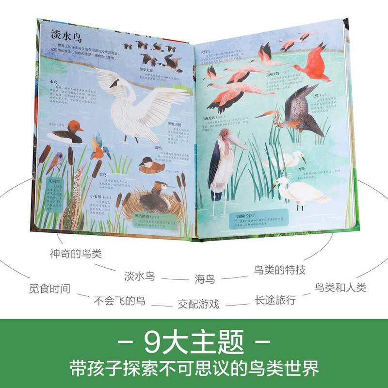 18 yuan off for orders over 87. Reveal the Birds (popular science flip book for children aged 5-10) Le Fun Children's Book Revealing Series Children's Enlightenment Popular Science Pop-up Books Children's Book Festival Children's Day