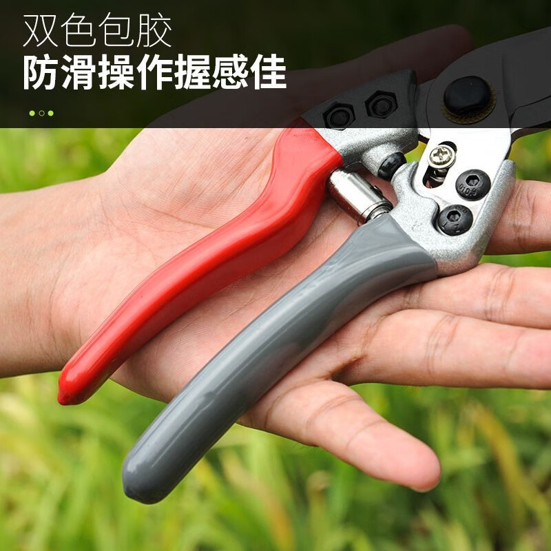 Piers pruning shears imported from Japan SK5 steel scissors for gardening and horticulture, strong flower shears for thick branches of fruit trees, floral scissors V1 - red, gray, white head and white blade - pruning shears