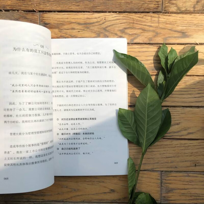 Handbook for efficient management of small teams, making empathy the core driving force of teamwork