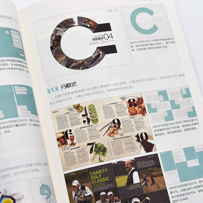 Layout Design from Beginner to Mastery 4th Edition (produced by Shuyi Design)