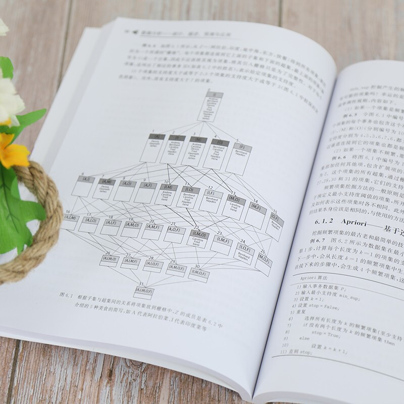 Data Analysis Statistics, Description, Prediction and Application (Computer Science and Technology Series)