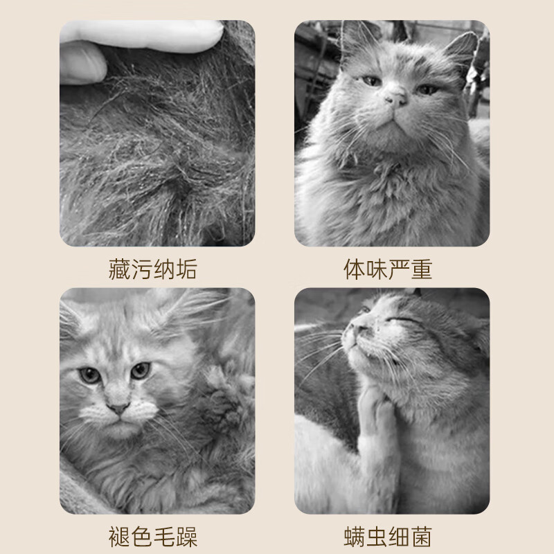 MIISHIIEM British MIISHILE cat shower gel, sterilizing, removing mites, deodorizing and deodorizing bath gel, special 500ml