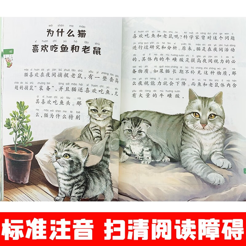 Children's Encyclopedia Exploration Volume Crazy Hundred Thousand Whys Popular Science Books Color Pictures Phonetic Enlargement and Thickening Little Stupid Bear