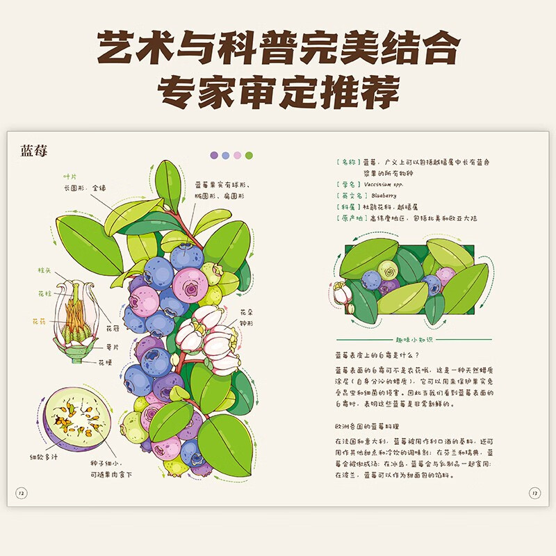 Xiao Che Mama's Fruit and Vegetable Observation Notes for Children (Fruits + Vegetables 2-volume set) is original and high-quality. The book comes with 62 coloring line drawings + 2 large and exquisite posters!