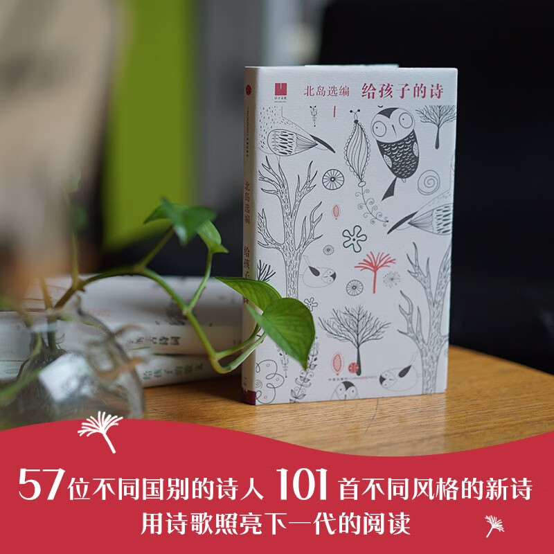 For Children Series 01 Poems for Children by Bei Dao 7-14 years old Children's Literature Recommended Book List for Primary School Students