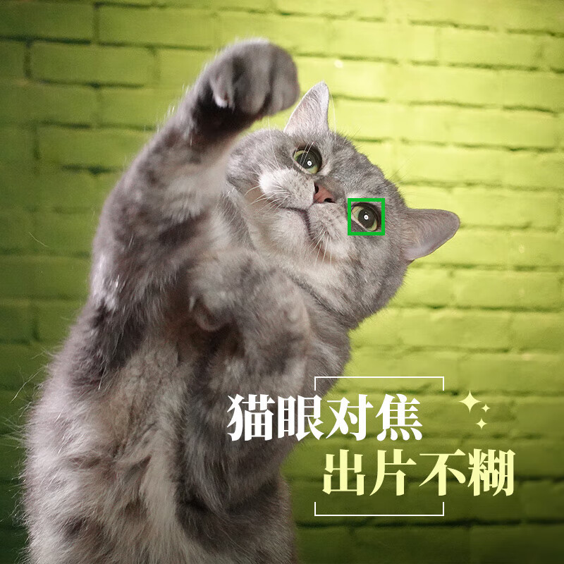 Sony (SONY) ZV-1 ZV1 Vlog digital camera 4K video beauty camera with powerful focus ZV-1 black stand-alone camera comes with a free camera bag + brand charger + screen saver Official standard configuration