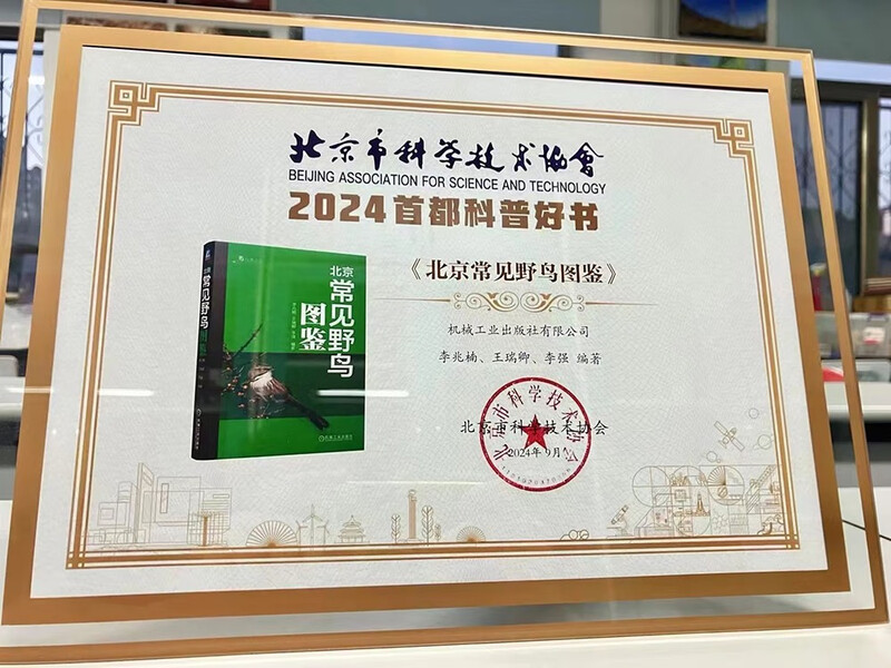 Illustrated guide of common wild birds in Beijing